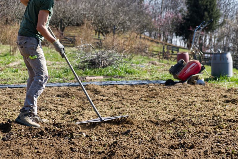 Dirt Leveling Service