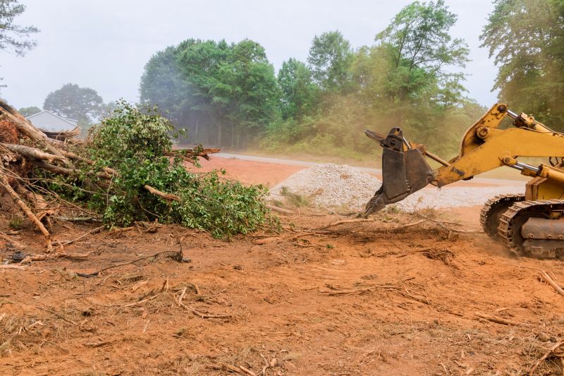 Land Clearing Experts